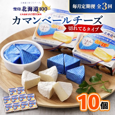 【毎月定期便】雪印北海道 カマンベールチーズ 切れてるタイプ 1箱(90g(6個入り)×10個全3回