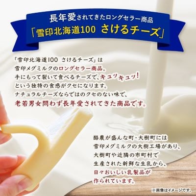 【毎月定期便】雪印北海道「さけるチーズプレーン」1箱12袋入り全5回
