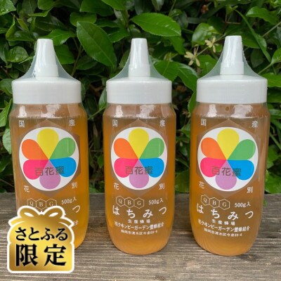 【さとふる限定】国産天然ハチミツ 1.5kg (500g×3本)