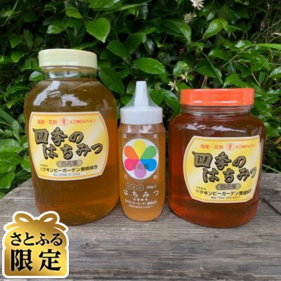 【さとふる限定】国産天然ハチミツセット 計4.9kg