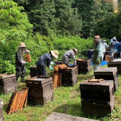 【さとふる限定】国産天然ハチミツセット 計2.5kg(2000g&500g)