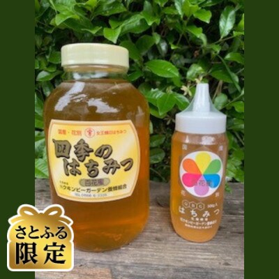 【さとふる限定】国産天然ハチミツセット 計2.9kg(2400g&500g)