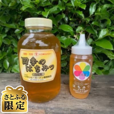 【さとふる限定】国産天然ハチミツセット 計2.9kg(2400g&500g)