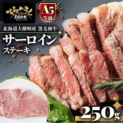 「天駆和牛(そらうし)」サーロイン ステーキ 250g A5 黒毛和牛 北海道十勝大樹町産