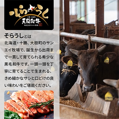 「天駆和牛(そらうし)」サーロイン ステーキ 250g A5 黒毛和牛 北海道十勝大樹町産