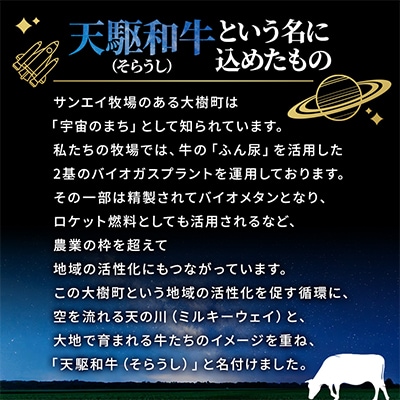 【毎月定期便】「天駆和牛(そらうし)」ハンバーグ 150g×4個 A5ランク黒毛和牛使用全6回