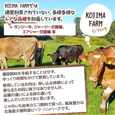 ぽてぱるビーフ・ハンバーグ　150g×5個【750g】