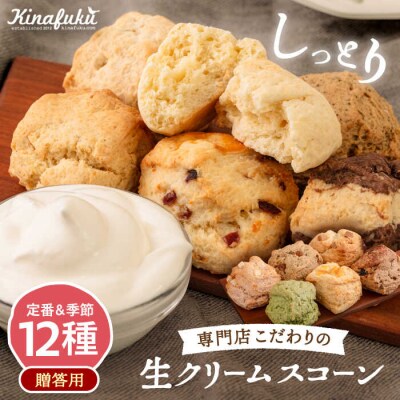 【贈答用】 定番 スコーン + 季節の味 12個セット 【キナフク】 [AFA007]