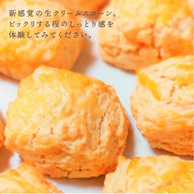 【贈答用】明太チーズスコーン 12個セット 『ふくのや』の 明太子 使用 [AFA010]