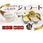 ジェラート6個入り(濃厚バニラジェラート&塩キャラメルジェラート　90ml各3個)