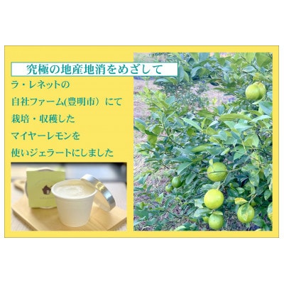 はちみつレモンシャーベット 90ml×6個
