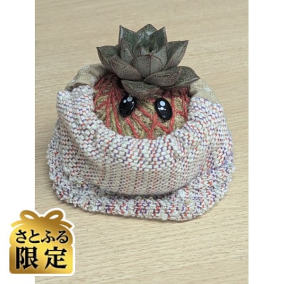 【さとふる限定】さをり織り苔玉くるみちゃん 300g