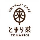 とまり來ご膳(月替わり)+ドリンク+ケーキセット　お食事チケット