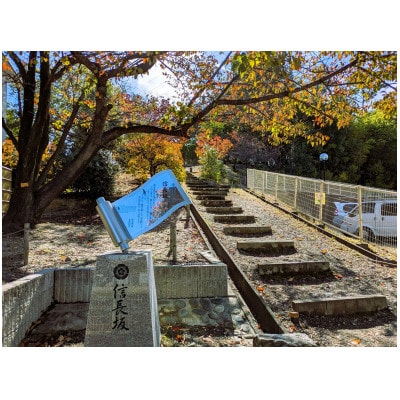 【返礼品なし】大学支援事業(桜花学園大学)10,000円