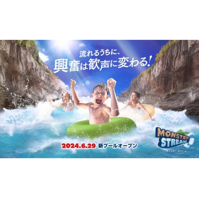 東京サマーランド 1Dayパス ご招待券 3枚