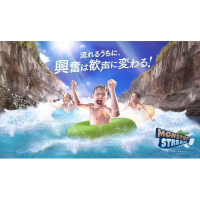 東京サマーランド 1Dayパス ご招待券 3枚