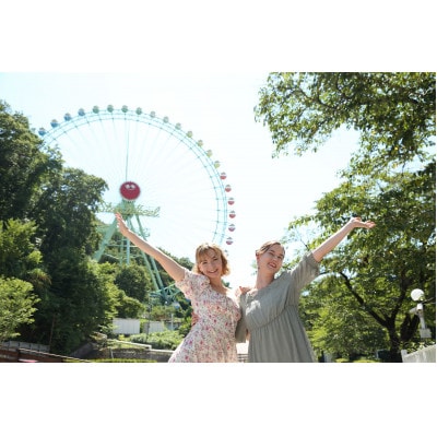 東京サマーランド 1Dayパス ご招待券 3枚