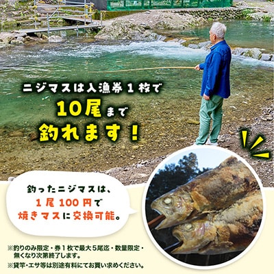 秋川国際マス釣場【A:エサ釣りペア券】