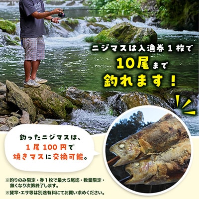 秋川国際マス釣場【B:ルアー釣りペア券】