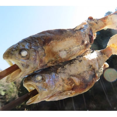 秋川国際マス釣場【D:ルアー釣り券】
