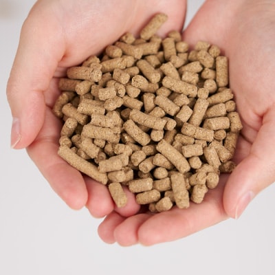 「東京の鹿」鹿肉ドッグフード 成犬用・小粒ドライタイプ　800g×2個セット