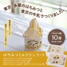 はちみつミルクジェラート10個セット(はちみつ2種各1瓶付き)