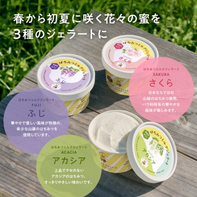 はちみつミルクジェラート10個セット(はちみつ2種各1瓶付き)