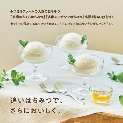 はちみつミルクジェラート10個セット(はちみつ2種各1瓶付き)