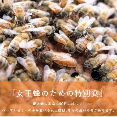 はちみつ生ローヤルゼリー　125g