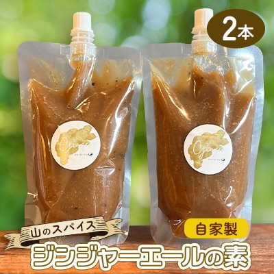 【スパイスカレー専門店/山のスパイス】　自家製ジンジャーエールの素　2本セット
