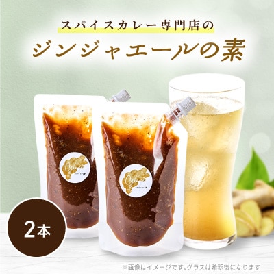 【スパイスカレー専門店/山のスパイス】　自家製ジンジャーエールの素　2本セット