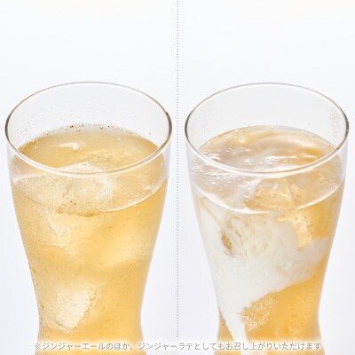 【スパイスカレー専門店/山のスパイス】　自家製ジンジャーエールの素　2本セット