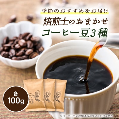 自家焙煎!季節のおすすめコーヒー豆(100g×3パック)