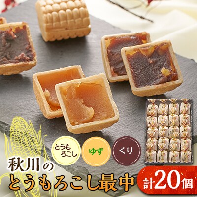 秋川のとうもろこし最中(20個入)【お茶ぞっぺの中島屋(あきる野の匠)】