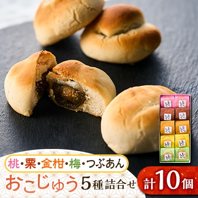 おこじゅう詰め合わせ(10個入)【お茶ぞっぺの中島屋(あきる野の匠)】