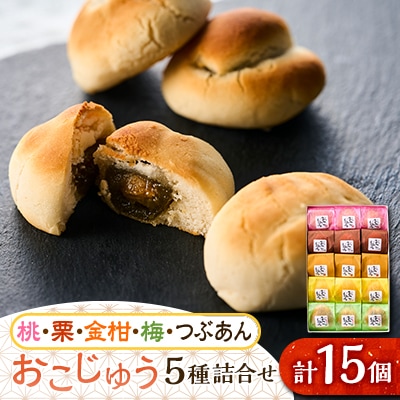 おこじゅう詰め合わせ(15個入)【お茶ぞっぺの中島屋(あきる野の匠)】