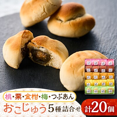 おこじゅう詰め合わせ(20個入)【お茶ぞっぺの中島屋(あきる野の匠)】