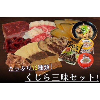 くじら三昧12種詰め合せセット