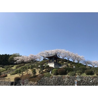 西多摩霊園　墓地購入(契約)のご利用券(3,000円分)