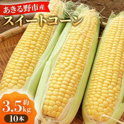 あきる野市産とうもろこし　10本(2025年7月中旬以降発送開始)