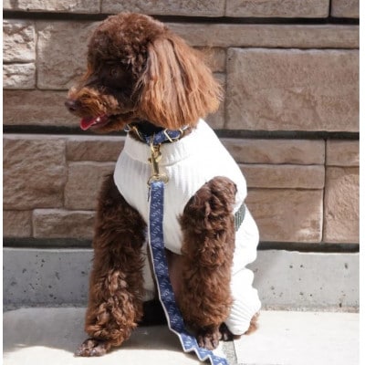 【創業48年】ドッグウェアブランドの「日本製 メッシュ プリーツ ロンパース」(ホワイト・Sサイズ)