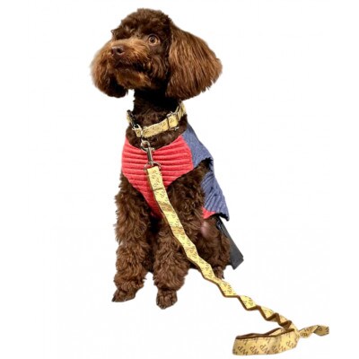 【創業48年】ドッグウェアブランドの「日本製 プリーツ リード&首輪セット」(ゴールド)