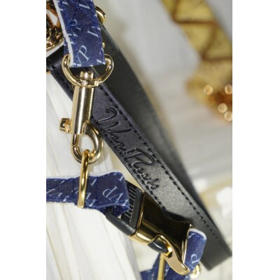 【創業48年】ドッグウェアブランドの「日本製 プリーツ リード&首輪セット」(ゴールド)