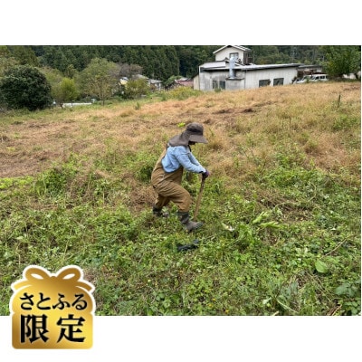 【さとふる限定】あきる野市自然農フルシーズン体験(栽培サポート付き、収穫持ち帰り)