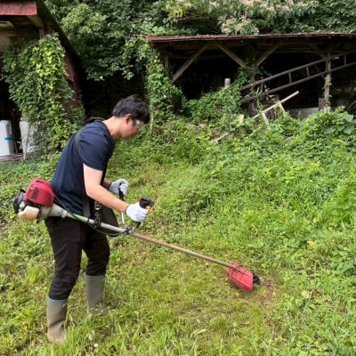 【さとふる限定】あきる野市自然農フルシーズン体験(栽培サポート付き、収穫持ち帰り)