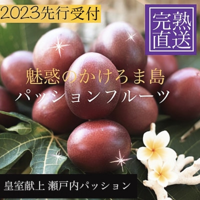 皇室献上品　贈答用パッションフルーツL玉12個×2箱　奄美・かけろま島産