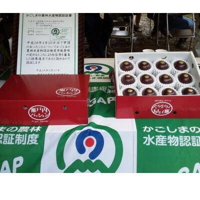 皇室献上品　贈答用パッションフルーツL玉12個×2箱　奄美・かけろま島産