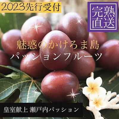 皇室献上品　贈答用パッションフルーツL玉12個×5箱　奄美・かけろま島産