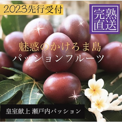 パッションフルーツ1kg約12個!　奄美・かけろま島産　バラ箱詰め　甘酸っぱい初夏の味!