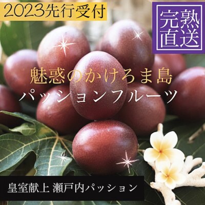 パッションフルーツL玉6個×5箱　お友達にお手軽ミニギフト!　奄美・かけろま島産